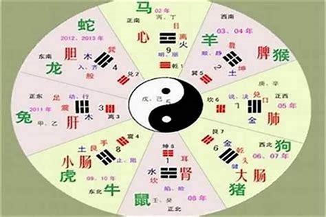 喜字五行|五行汉字属性查询